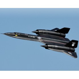 Freewing SR-71 Blackbird Twin 70mm EDF Jet